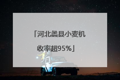 河北蠡县小麦机收率超95%