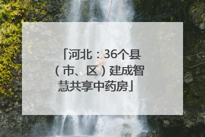 河北：36个县（市、区）建成智慧共享中药房