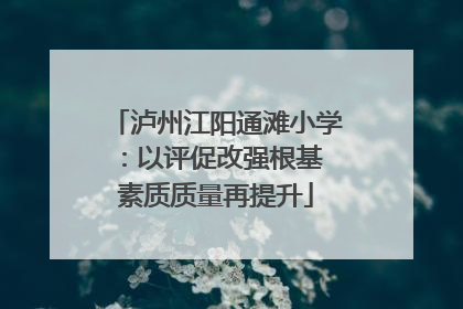 泸州江阳通滩小学：以评促改强根基 素质质量再提升