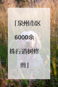 泉州市区6000余株行道树修剪