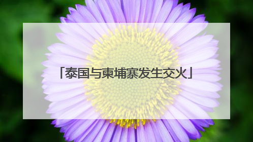 泰国与柬埔寨发生交火
