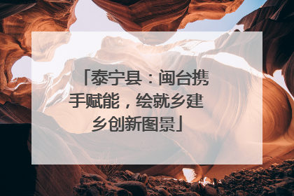 泰宁县：闽台携手赋能，绘就乡建乡创新图景