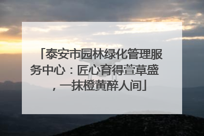 泰安市园林绿化管理服务中心：匠心育得萱草盛，一抹橙黄醉人间