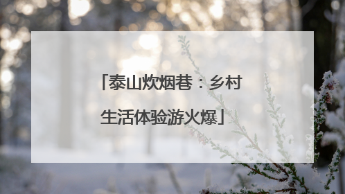 泰山炊烟巷：乡村生活体验游火爆