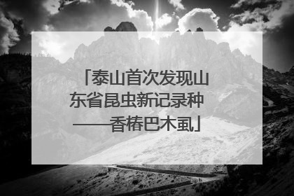泰山首次发现山东省昆虫新记录种——香椿巴木虱