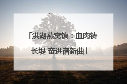 洪湖燕窝镇：血肉铸长堤 奋进谱新曲
