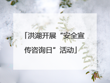 洪湖开展“安全宣传咨询日”活动