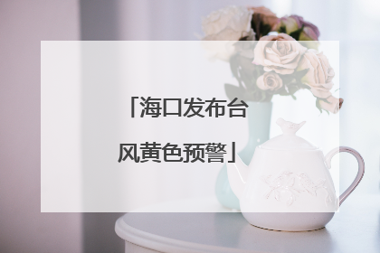 海口发布台风黄色预警