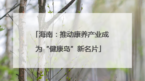 海南：推动康养产业成为“健康岛”新名片
