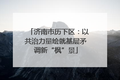 济南市历下区：以共治力量绘就基层矛调新“枫”景