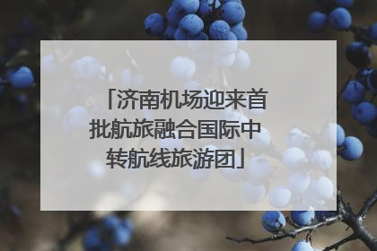 济南机场迎来首批航旅融合国际中转航线旅游团