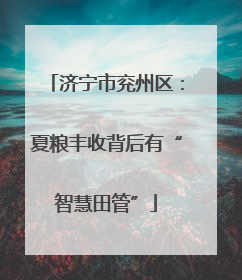 济宁市兖州区：夏粮丰收背后有“智慧田管”