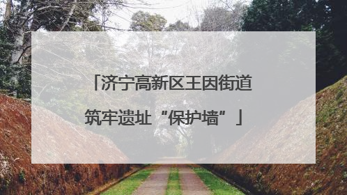 济宁高新区王因街道筑牢遗址“保护墙”