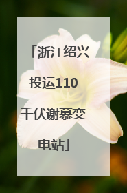 浙江绍兴投运110千伏谢慕变电站