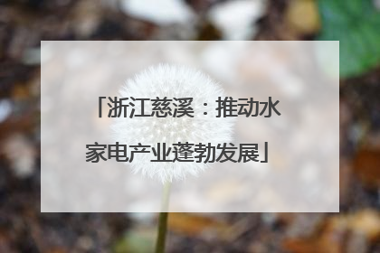 浙江慈溪：推动水家电产业蓬勃发展