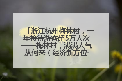 浙江杭州梅林村，一年接待游客超5万人次——梅林村，满满人气从何来（经济新方位·农村消费观察）
