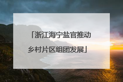 浙江海宁盐官推动乡村片区组团发展