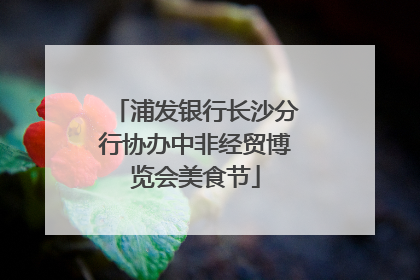 浦发银行长沙分行协办中非经贸博览会美食节