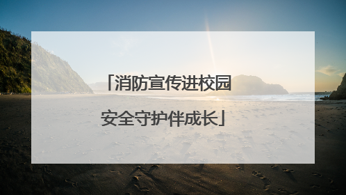 消防宣传进校园 安全守护伴成长