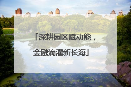 深耕园区赋动能，金融滴灌新长海