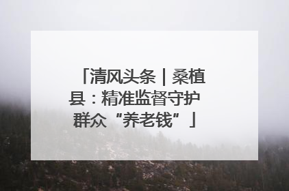 清风头条｜桑植县：精准监督守护群众“养老钱”