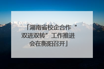 湖南省校企合作“双进双转”工作推进会在衡阳召开