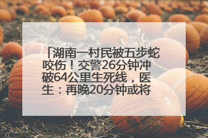 湖南一村民被五步蛇咬伤！交警26分钟冲破64公里生死线，医生：再晚20分钟或将呼吸肌麻痹