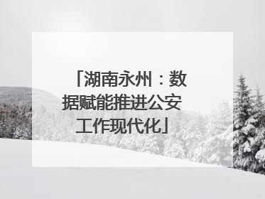 湖南永州：数据赋能推进公安工作现代化