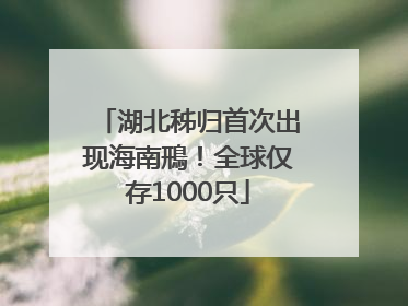 湖北秭归首次出现海南鳽！全球仅存1000只