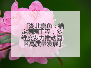 湖北嘉鱼：锚定满园工程，多维度发力推动园区高质量发展