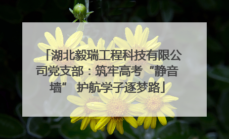 湖北毅瑞工程科技有限公司党支部：筑牢高考“静音墙” 护航学子逐梦路