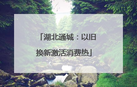 湖北通城：以旧换新激活消费热