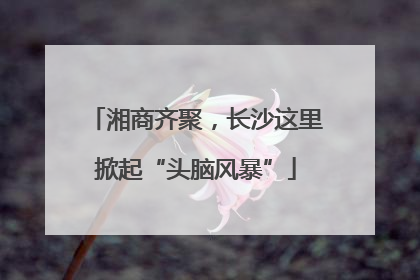湘商齐聚，长沙这里掀起“头脑风暴”