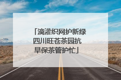 滴灌织网护新绿 四川旺苍茶园抗旱保茶管护忙