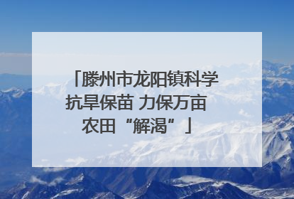 滕州市龙阳镇科学抗旱保苗 力保万亩农田“解渴”