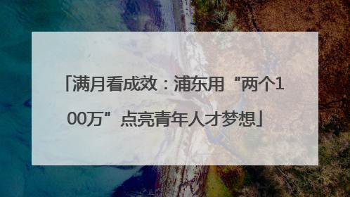 满月看成效：浦东用“两个100万”点亮青年人才梦想