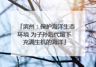 滨州：保护海洋生态环境 为子孙后代留下充满生机的海洋