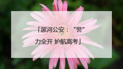 漯河公安：“警”力全开 护航高考