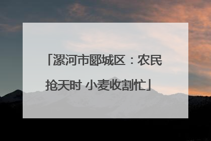 漯河市郾城区：农民抢天时 小麦收割忙