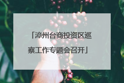 漳州台商投资区巡察工作专题会召开