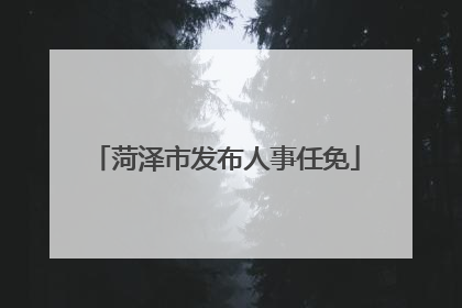 菏泽市发布人事任免