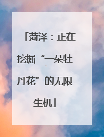 菏泽:正在挖掘“一朵牡丹花”的无限生机