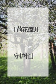 荷花盛开守护忙