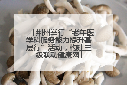 荆州举行“老年医学科服务能力提升基层行”活动，构建三级联动健康网