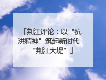 荆江评论：以“抗洪精神”筑起新时代“荆江大堤”