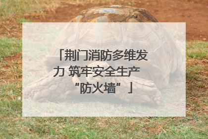 荆门消防多维发力 筑牢安全生产“防火墙”
