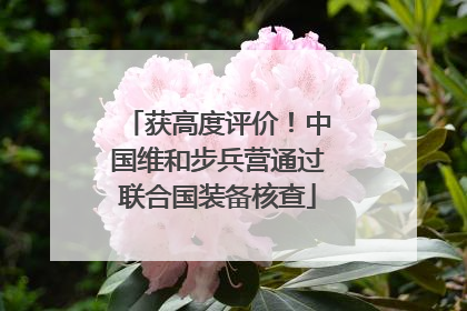 获高度评价！中国维和步兵营通过联合国装备核查