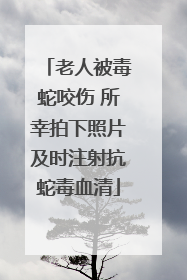 老人被毒蛇咬伤 所幸拍下照片及时注射抗蛇毒血清