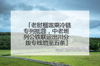 老挝榴莲乘冷链专列抵蓉，中老班列公铁联运出川分拨专线增至五条