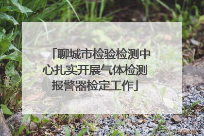 聊城市检验检测中心扎实开展气体检测报警器检定工作